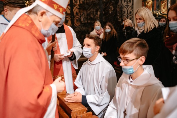 bierzmo 26 bierzmo 26