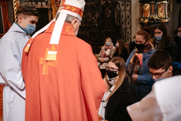 bierzmo 43 bierzmo 43