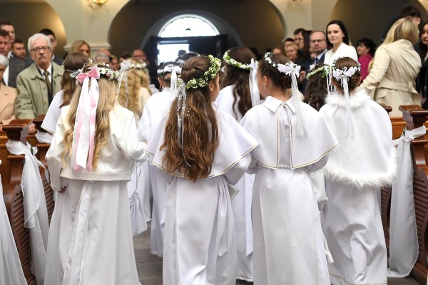 499070028 677387994925439 n 499070028 677387994925439 n